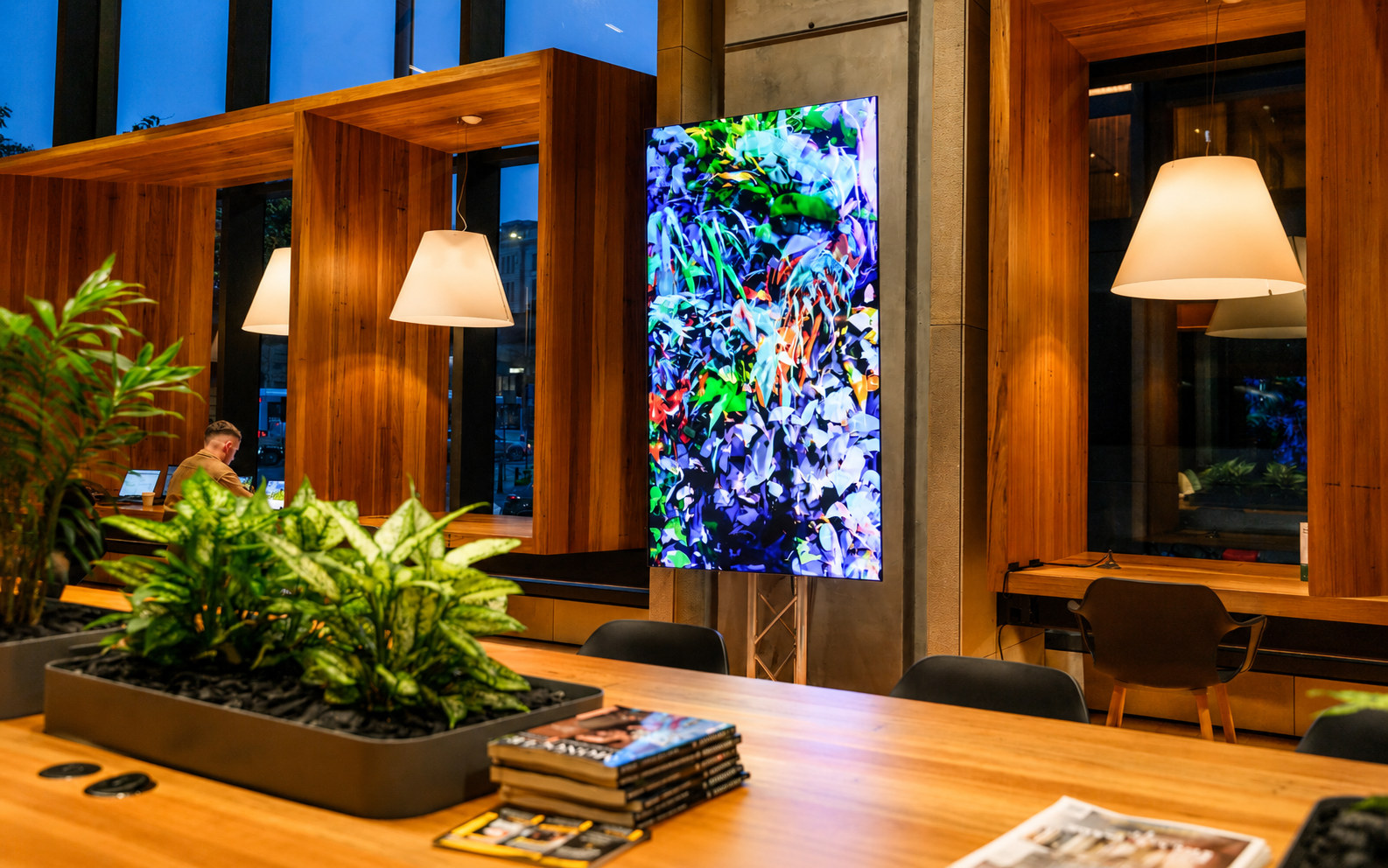 Stefany Layton, Digital Totems: 477 Pitt St